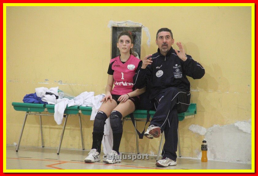 140305 Primula 083_tn.jpg